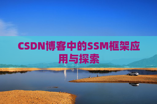 CSDN博客中的SSM框架应用与探索